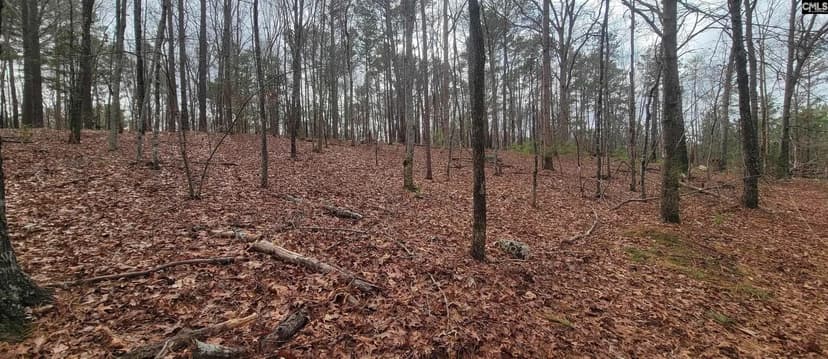 Vacant Land in Chapin