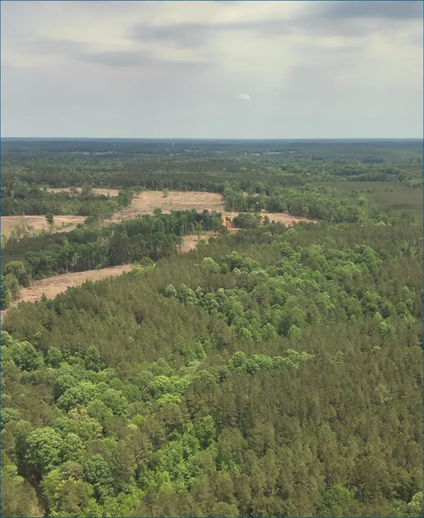 113 Acres in Smith County in Pulaski, MS