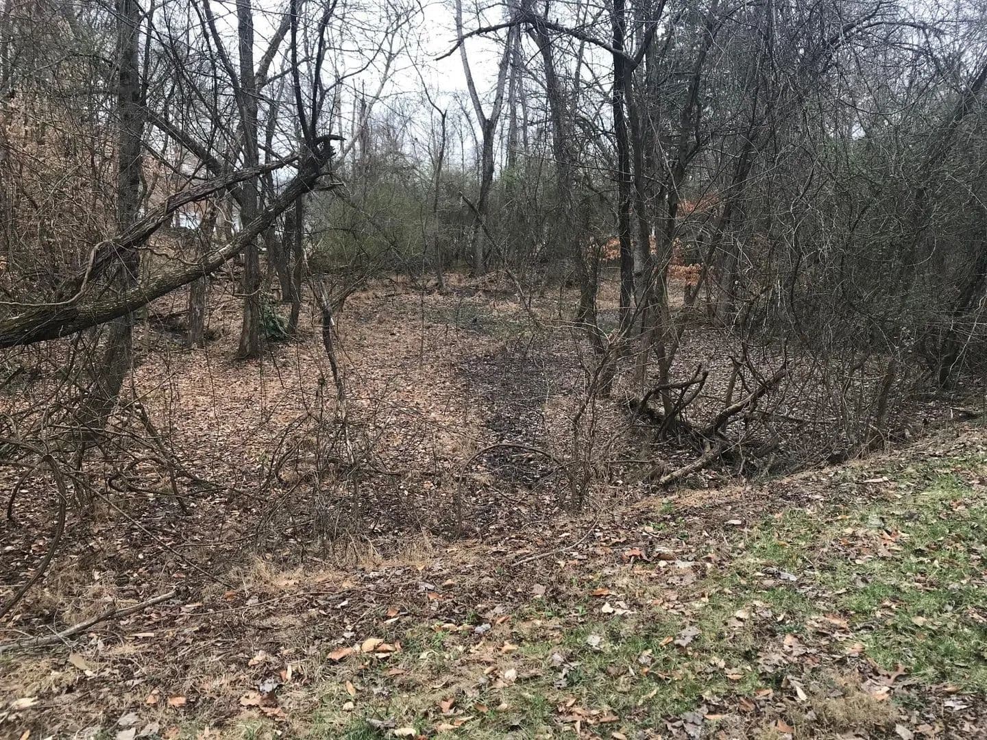 Vacant Land in Ten Mile - Ten Mile, Tennessee, 37880