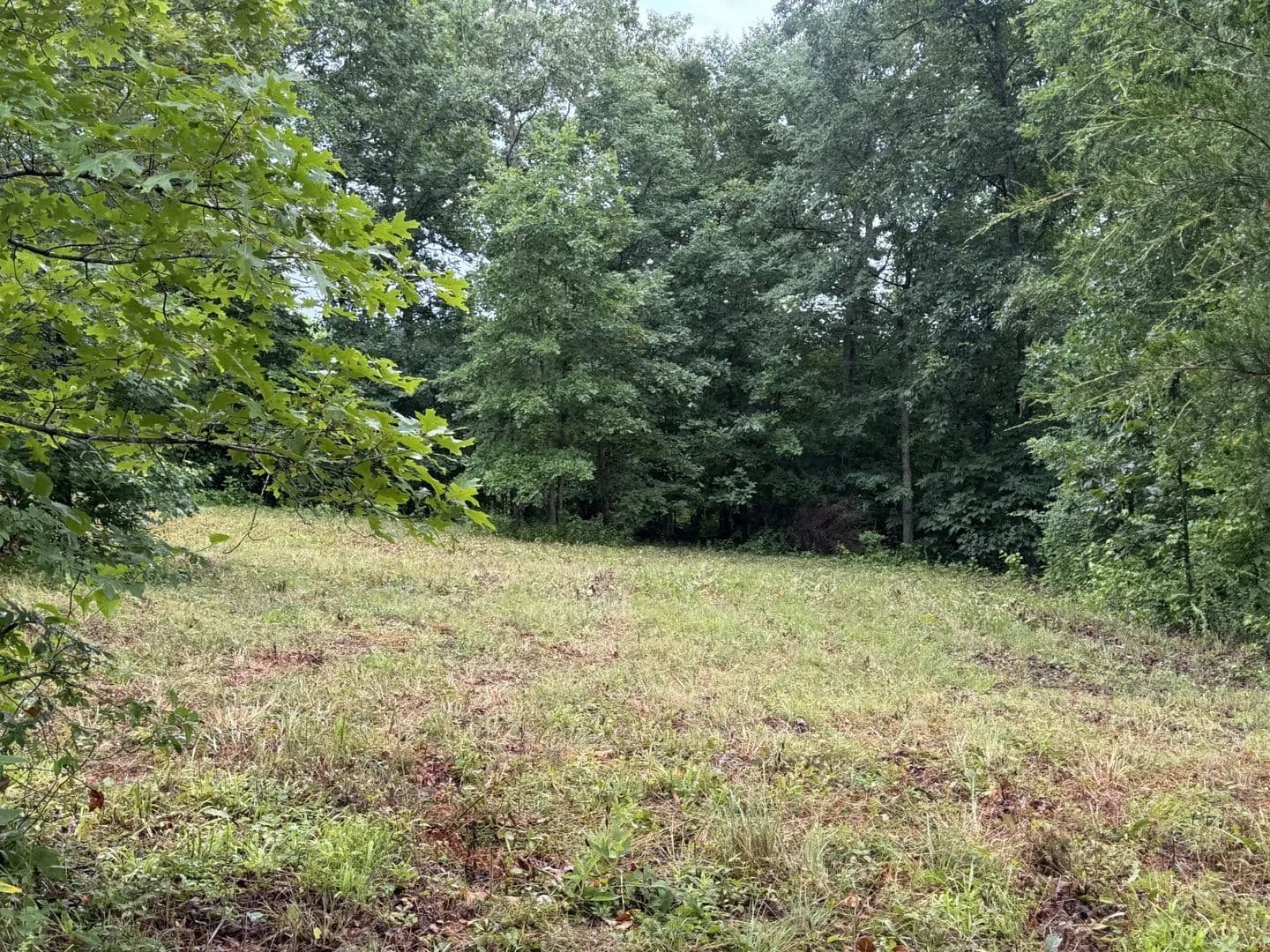 Vacant Land in Stewart - Stewart, Tennessee, 37175