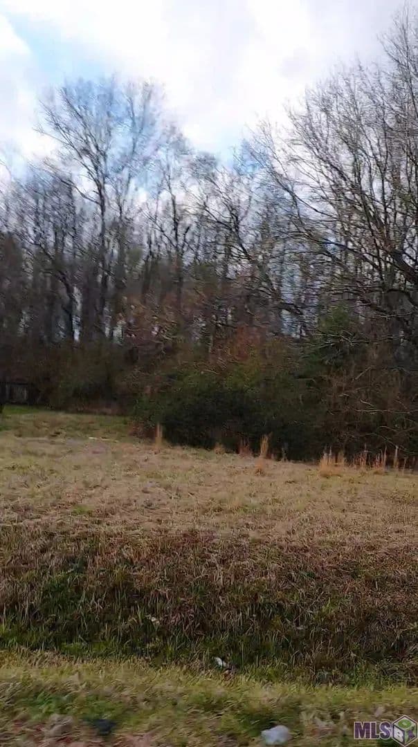 Property from Lot 111 El Scott Ave - KW
