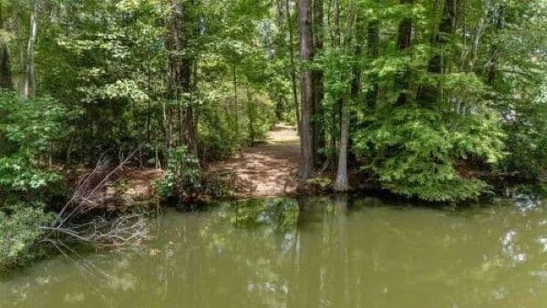 Lots & Land-Other in Eutawville