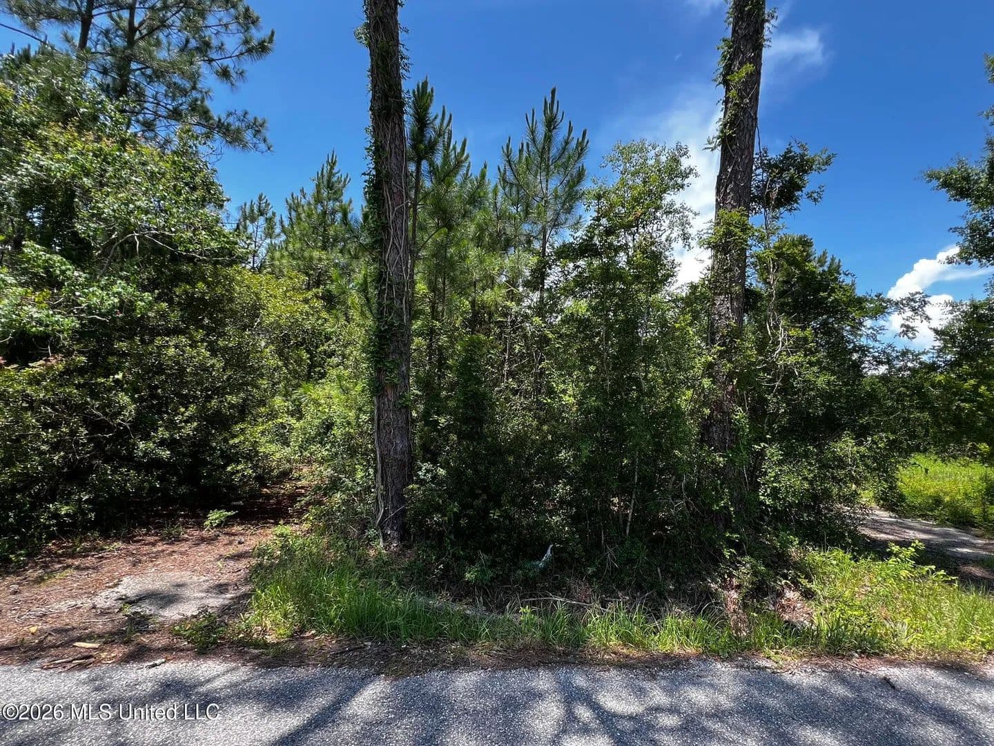 Property from 383 Morton Avenue - KW - Pass Christian, Mississippi, 39571
