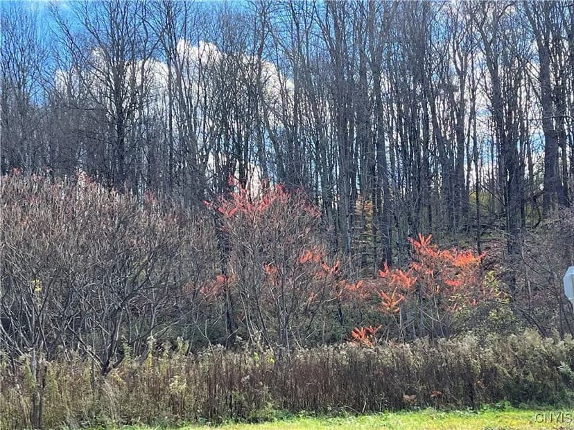 Lots & Land-Other in Barneveld