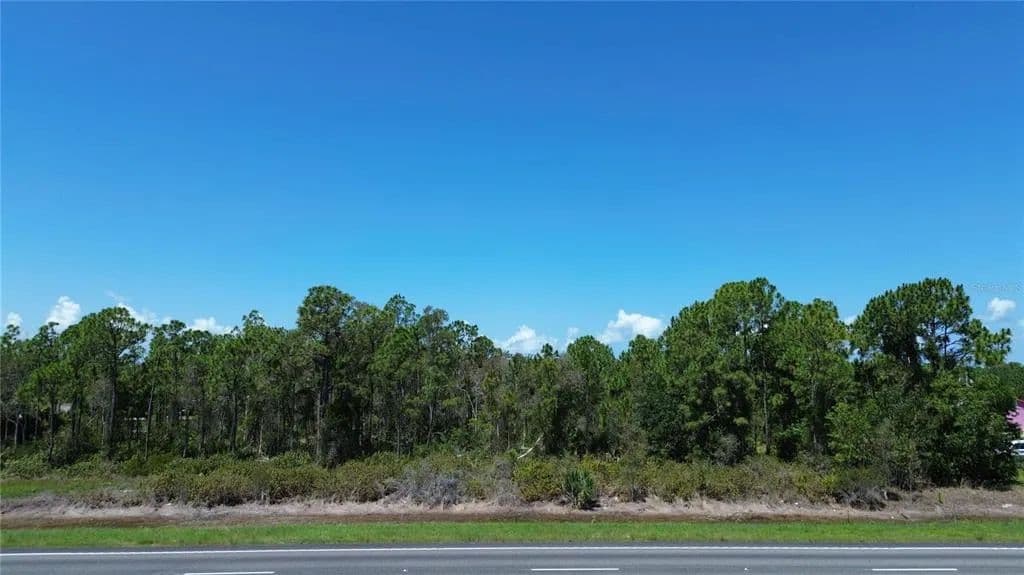 Vacant Land in Punta Gorda - Punta Gorda, Florida, 33955