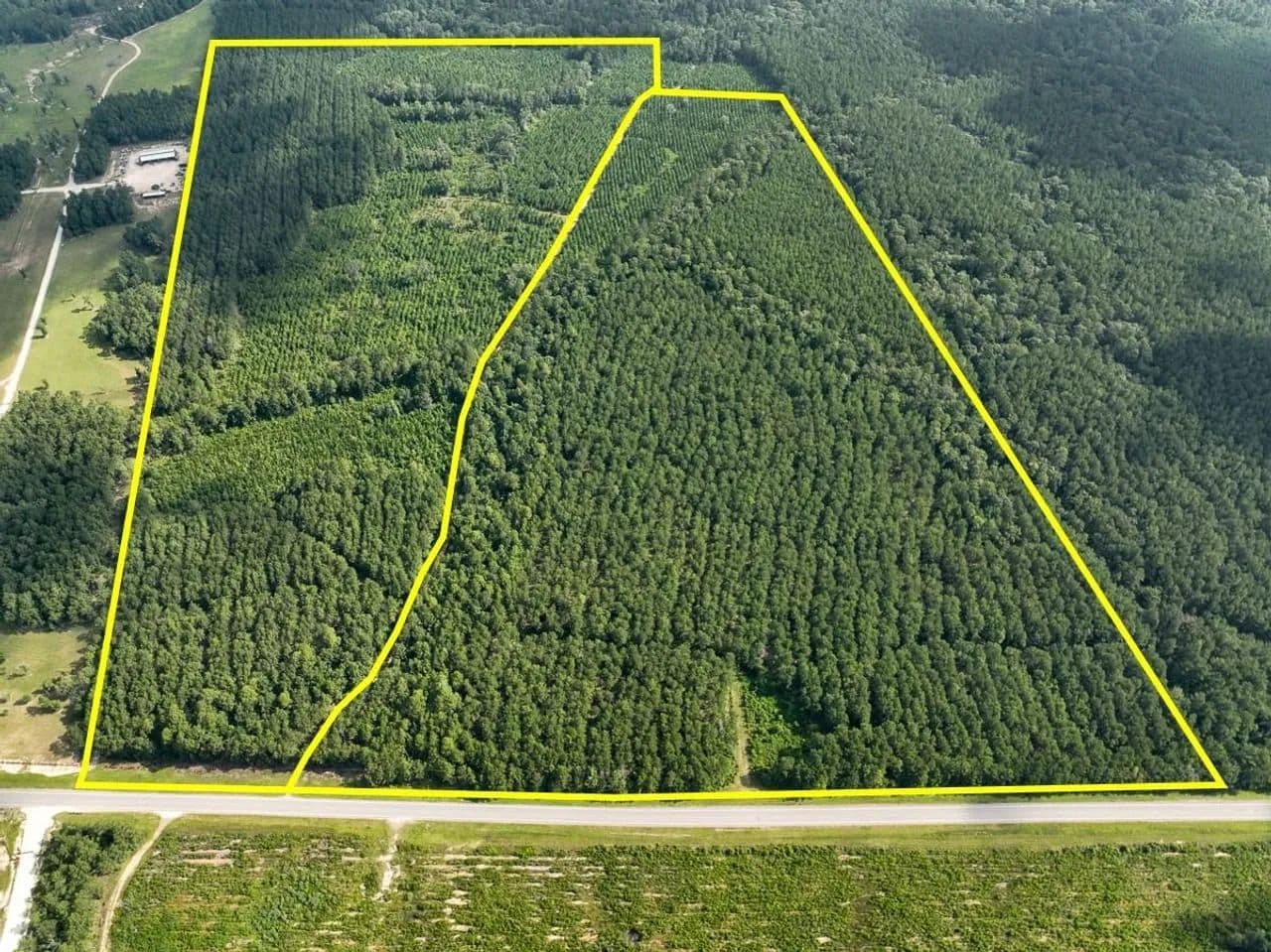 64 Acres | T-2 | FM 943 - Kountze, Texas, 77625