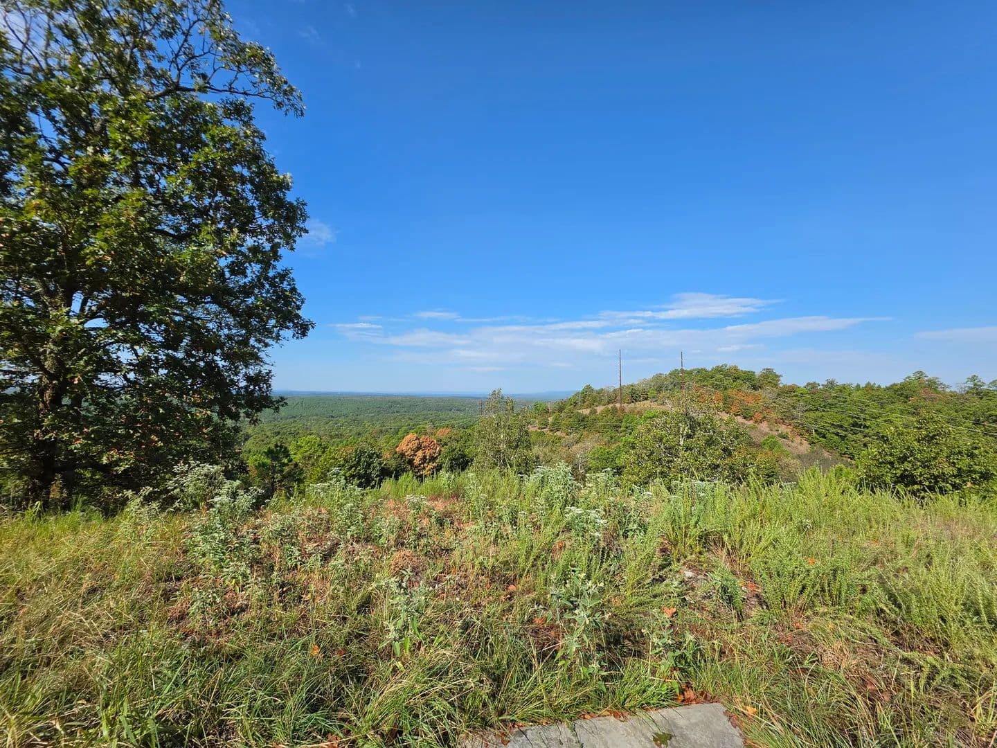 Land -Single Family Acreage in Mena - Mena, Arkansas, 71953