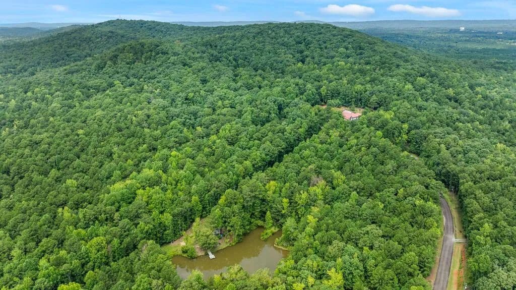 Vacant Land in Hamilton - Hamilton, Georgia, 31811