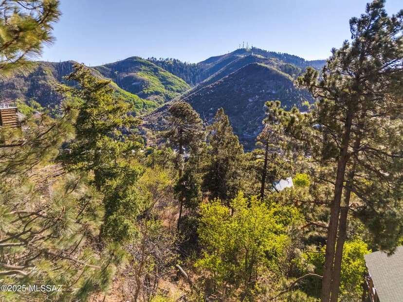 Vacant Land in Mt. Lemmon