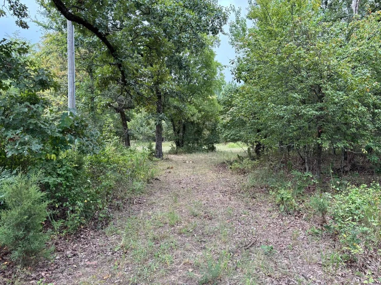 Private 13-Acre Retreat with Cypress Creek, Utilities & Incredible Hunting Access - Ringold, Oklahoma, 74754