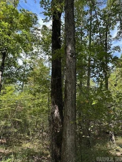 Lots & Land-Other in Roland - Roland, Arkansas, 72223