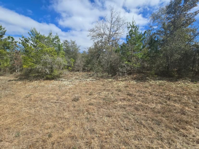 Vacant Land in Chipley