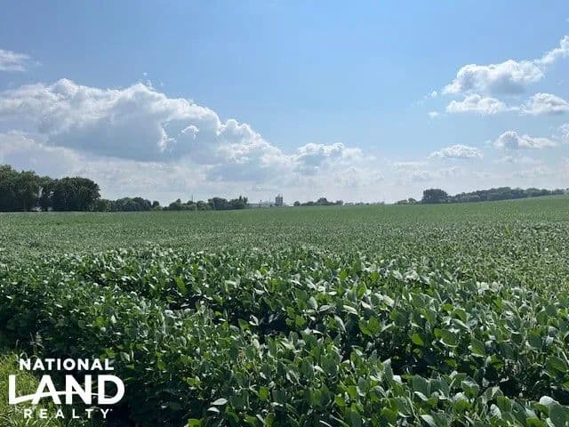 Cokato Residential Development Land Opportunity! - Cokato, Minnesota, 55321