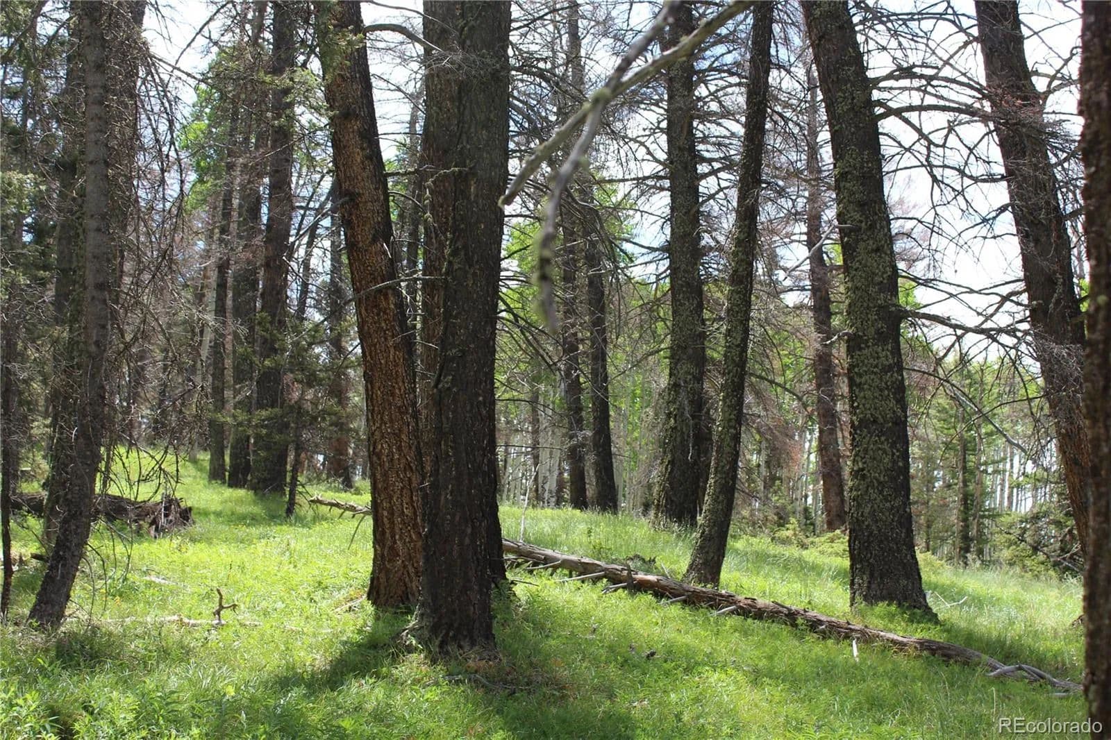 0.72 Acres of Land for Sale in Cimarron, CO - Cimarron, Colorado, 81220