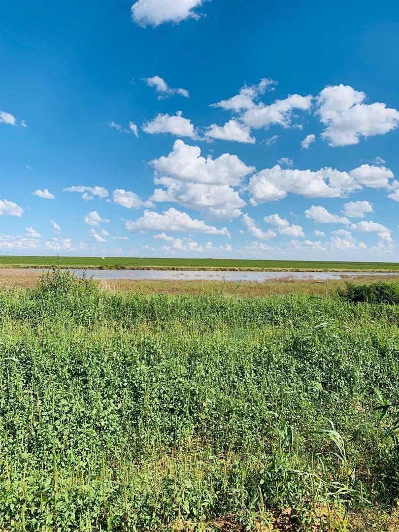 Property from 1370 County Road 2 - KW