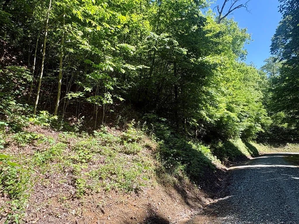 2.27 Acres of Land for Sale in Whittier, North Carolina - Whittier, North Carolina, 28789