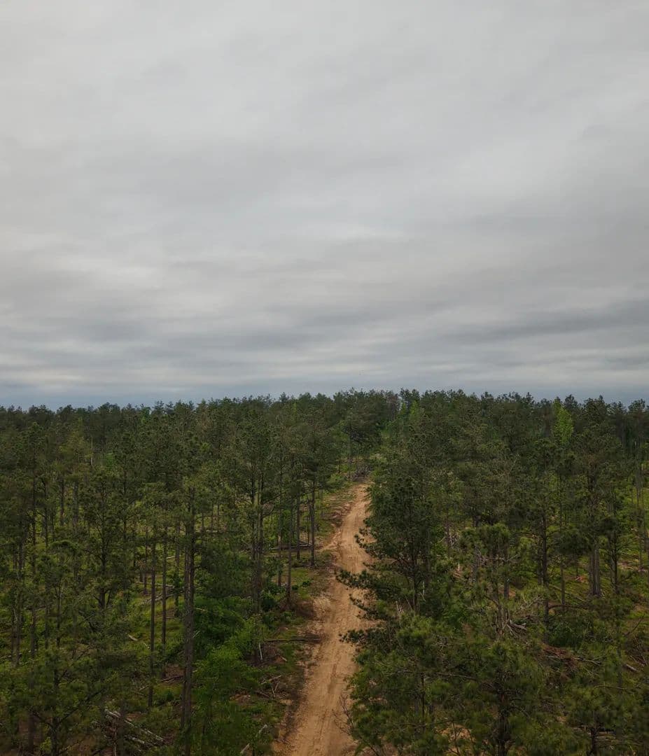 108.6 Acres in Grenada County in Gore Springs, MS - Gore Springs, Mississippi, 38929