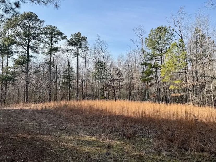 15.71 total acres of Recreational Hunting Land For Sale in Northampton County NC!