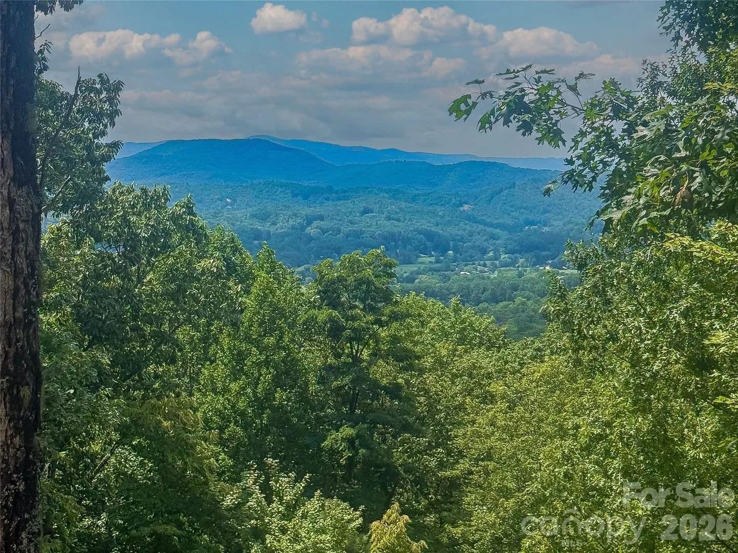 1.73 Acres of Land for Sale in Mills River, NC - Mills River, North Carolina, 28759