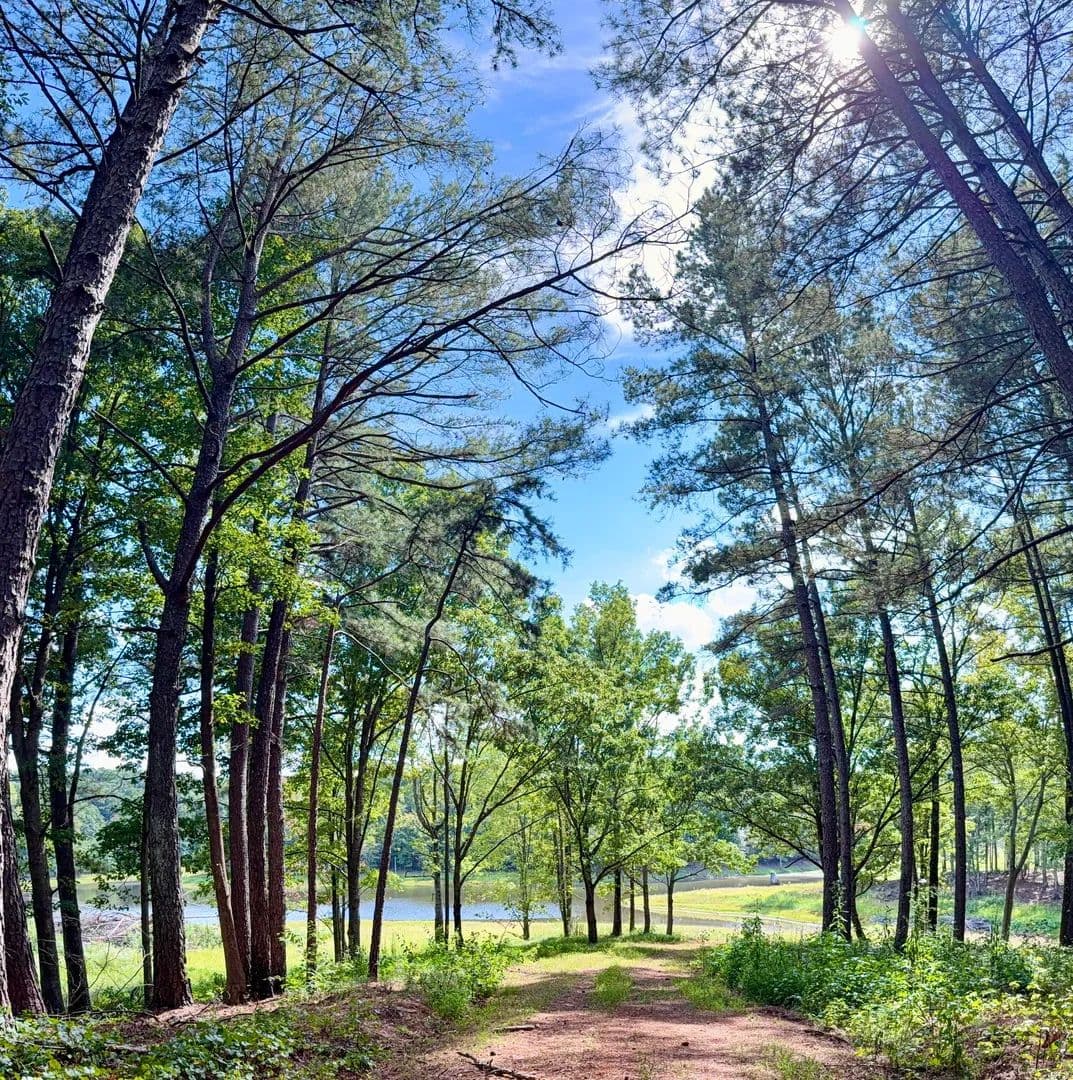 Grove Creek Reserve - Maysville, Georgia, 30558