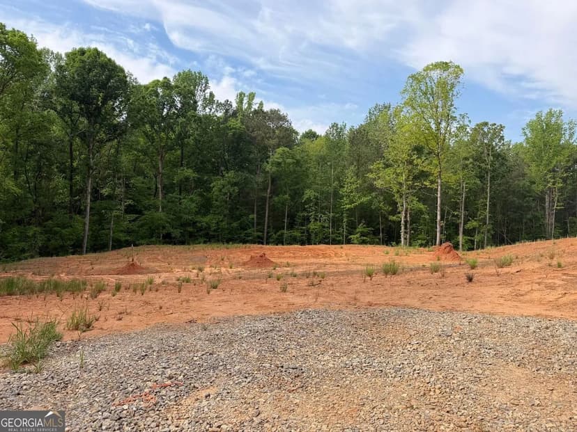 Lots & Land-Other in Forsyth