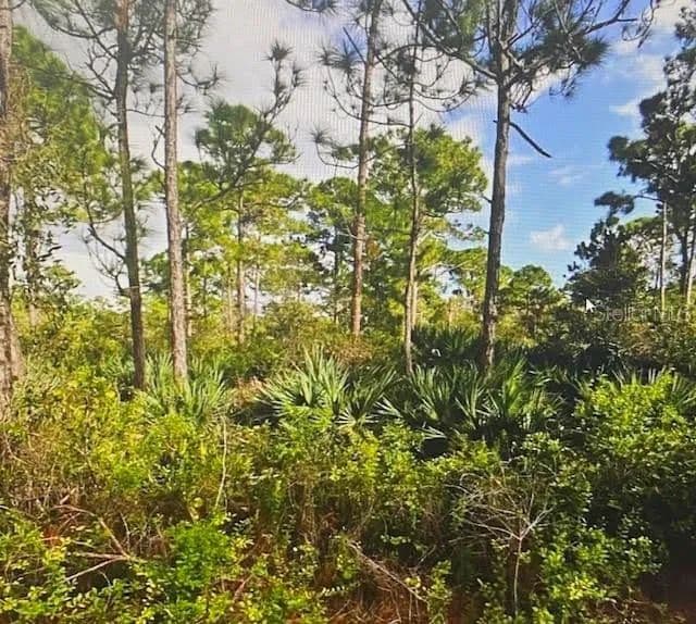 Vacant Land in Fort Pierce - Fort Pierce, Florida, 34951