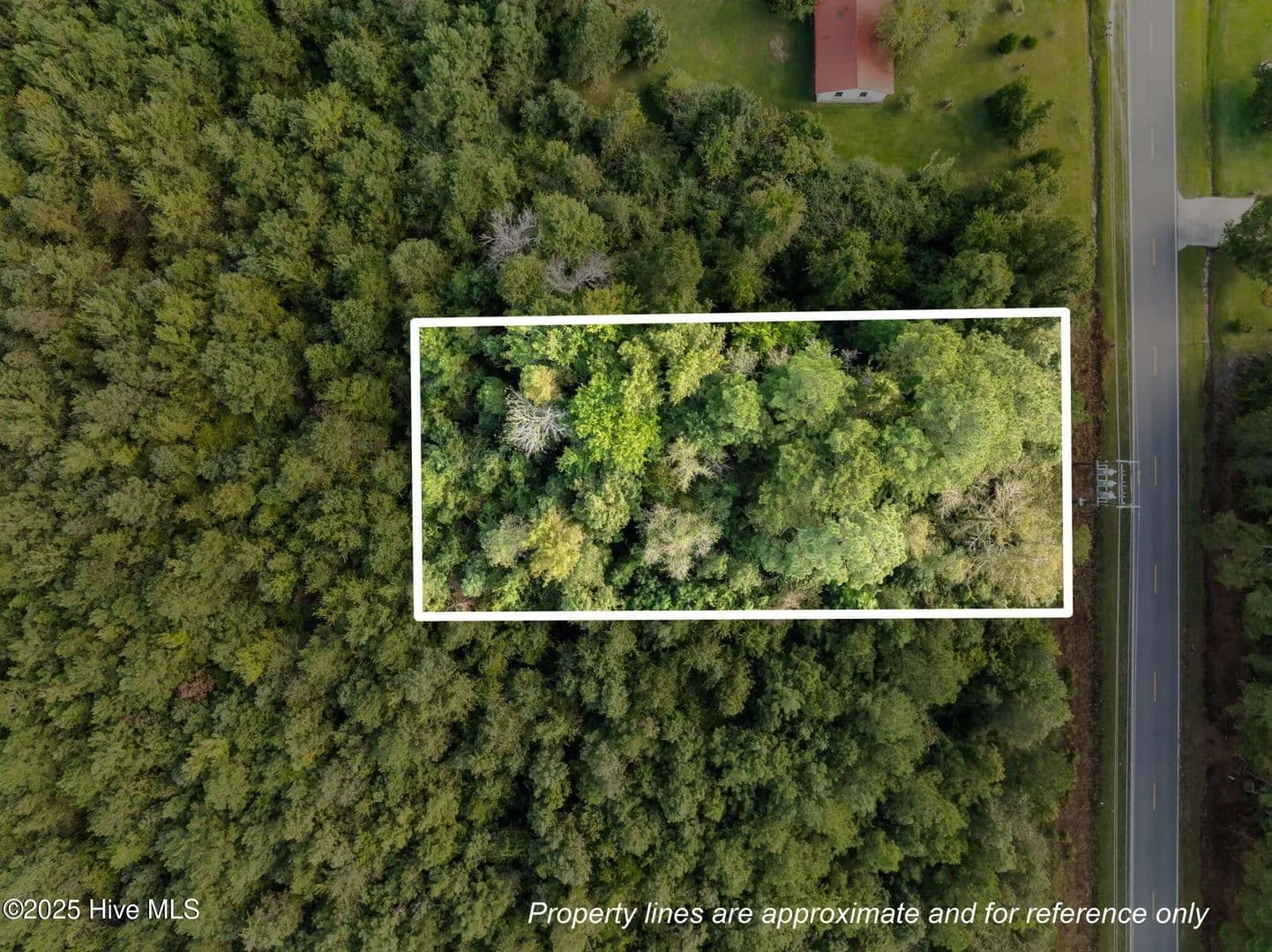 Vacant Land in Maple Hill - Maple Hill, North Carolina, 28454