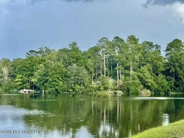 Lots & Land-Other in Perkinston - Perkinston, Mississippi, 39573