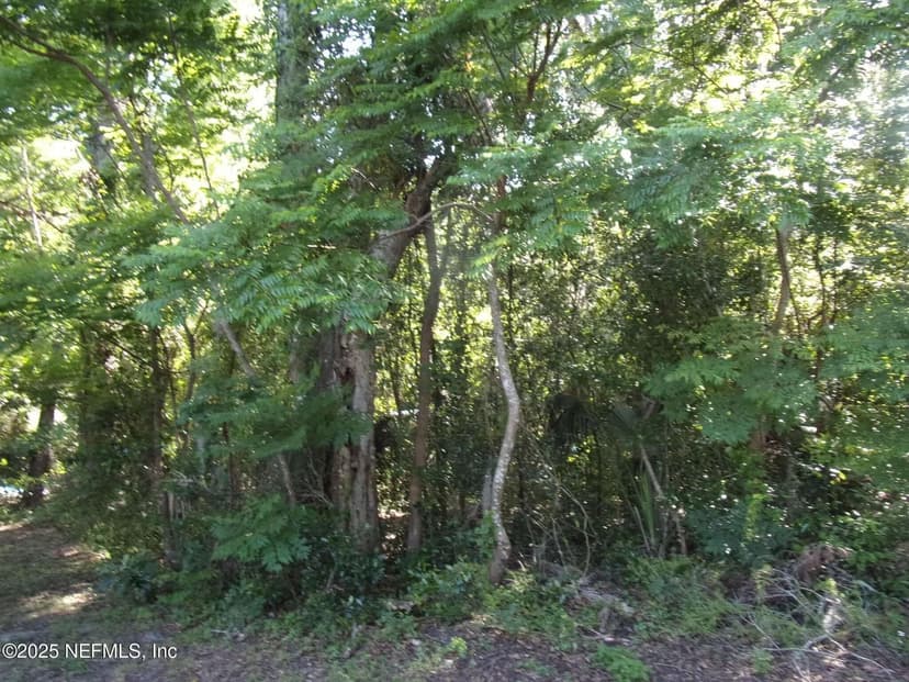 Lots & Land-Other in Palatka