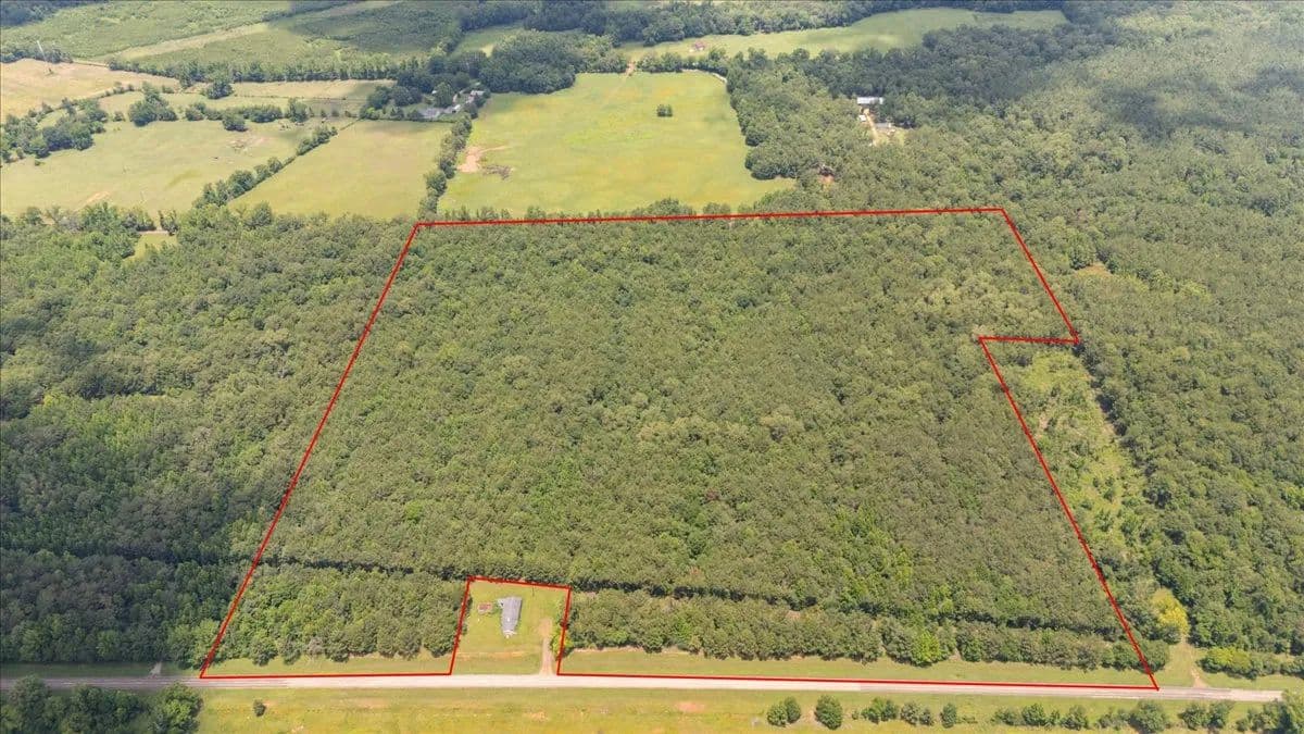 Vacant Land (10+ Acres) in Mt Enterprise - Texas, 75681