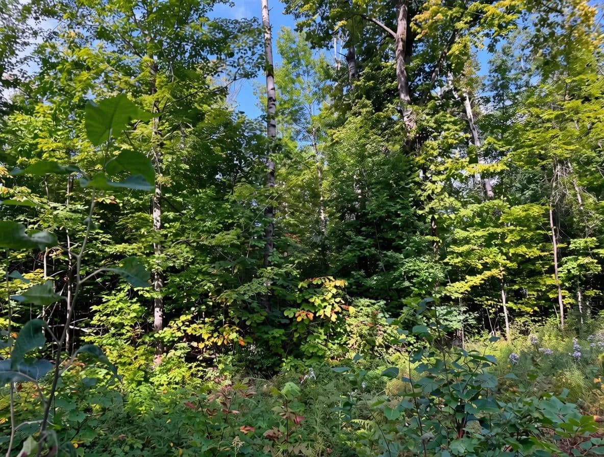 Lots & Land-Other in Brutus - Brutus, Michigan, 49716