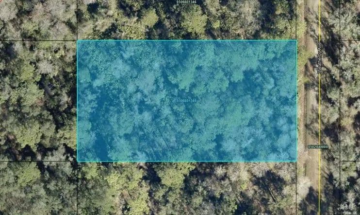 Vacant Land (0-10 Acres) in Hastings - Hastings, Florida, 32145