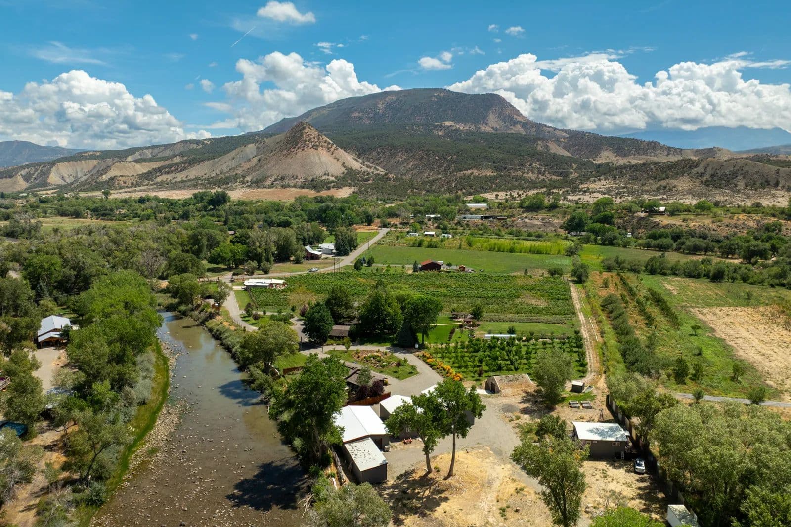 Painted Vineyard  - Colorado, 81428
