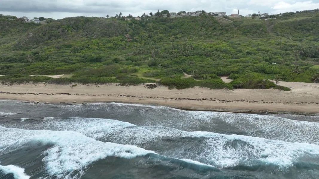 153985 Acres of Land for Sale in Isabela - Puerto Rico