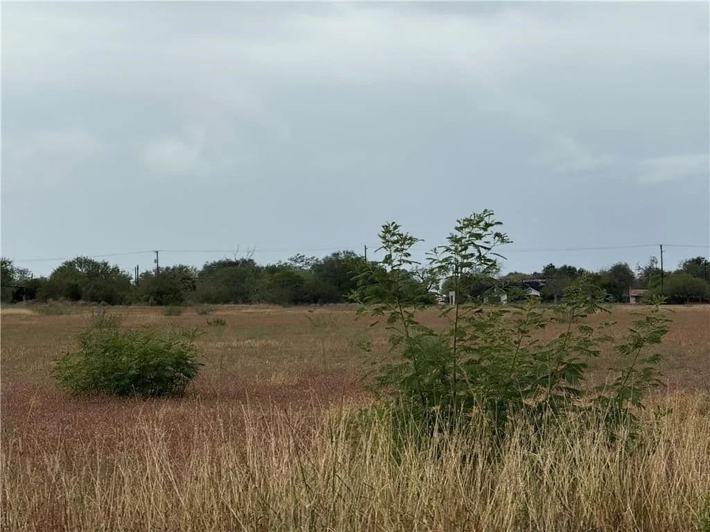0.31 Acres of Land for Sale in Alice, Texas - Alice, Texas, 78332
