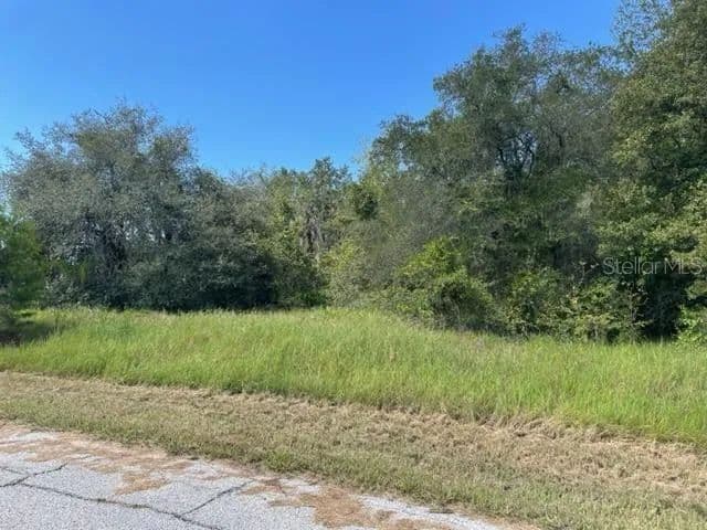 Vacant Land in Kissimmee - Kissimmee, Florida, 34759