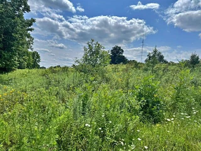 Vacant Land (0-10 Acres) in Celestine - Celestine, Indiana, 47521