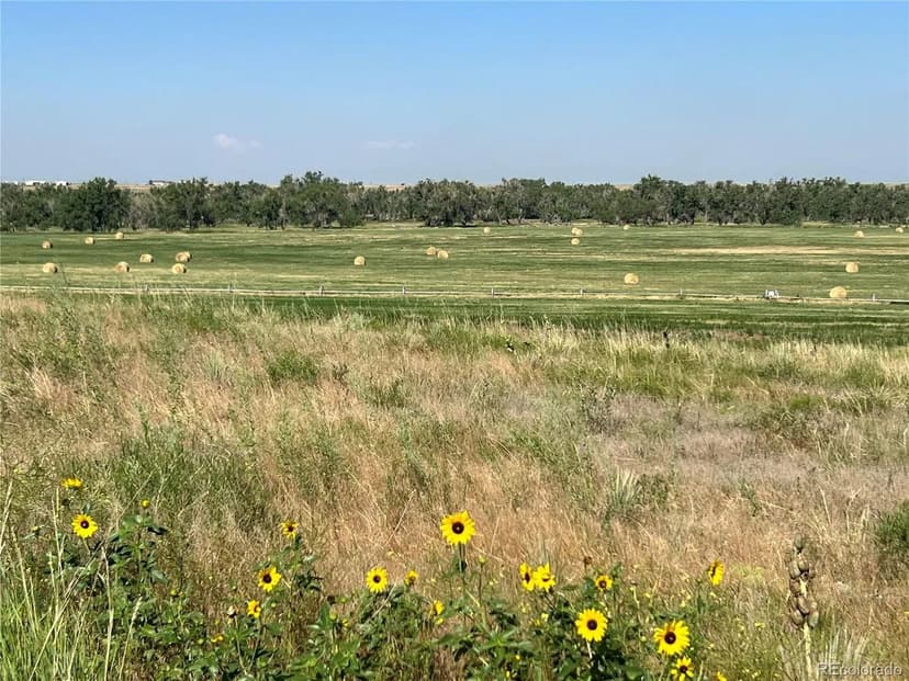 Vacant Land in Bennett