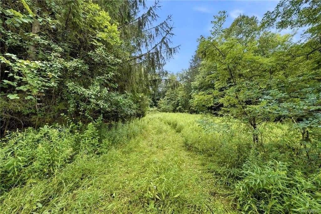 Lots & Land-Other in Holland - Holland, New York, 14080