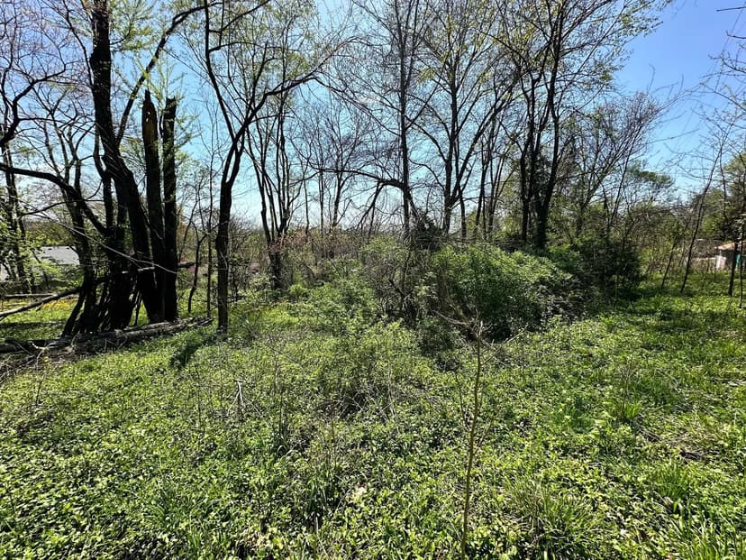 Property from 0 E Cunningham Street - KW