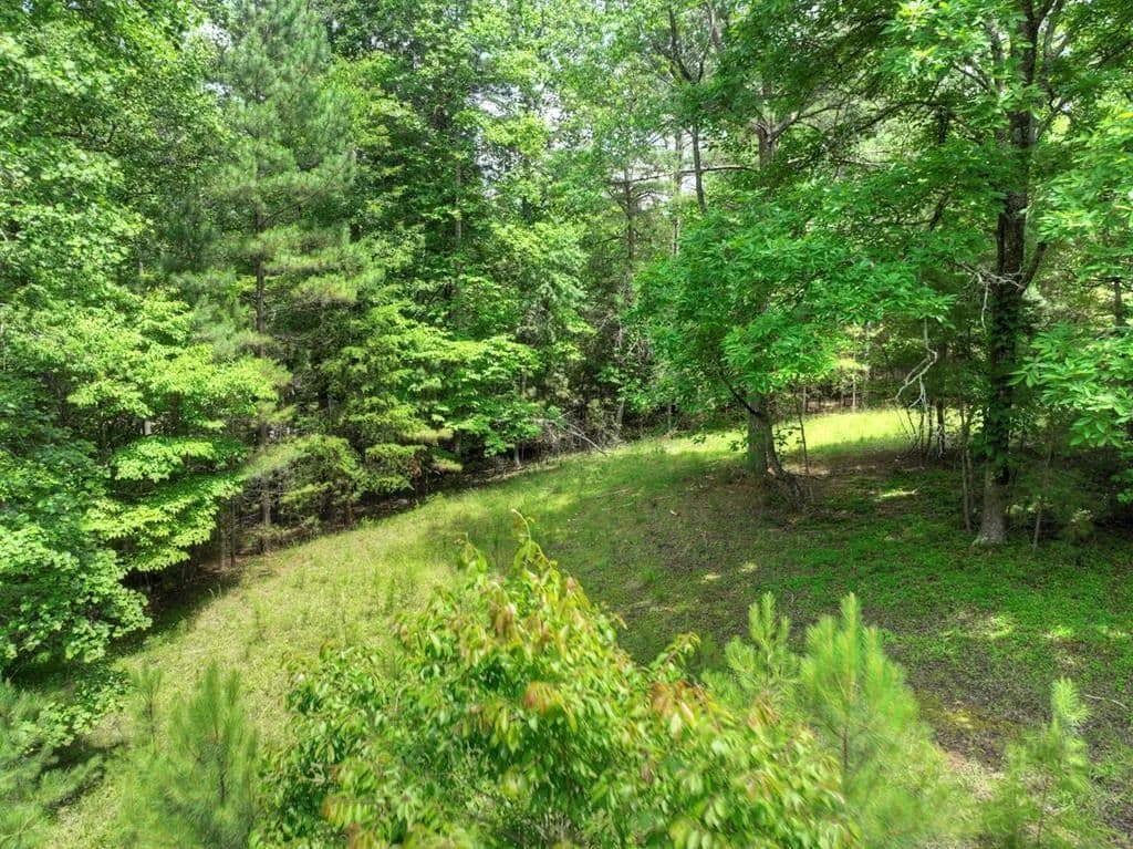 1.14 Acres of Land for Sale in Blairsville, GA - Blairsville, Georgia, 30512