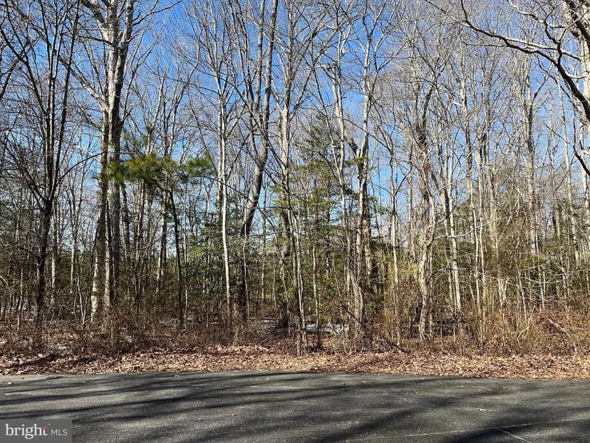 Vacant Land in Selbyville