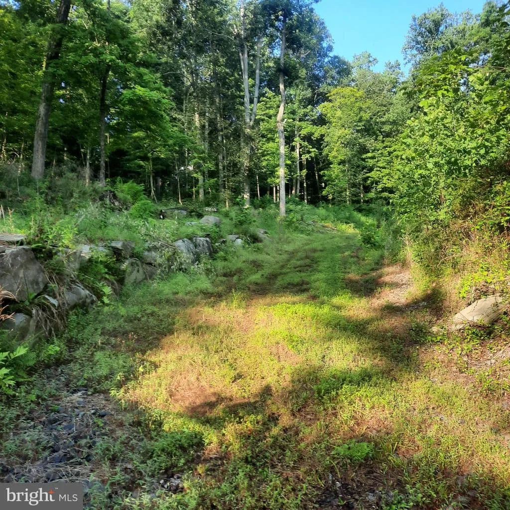 Vacant Land in Pipersville - Pipersville, Pennsylvania, 18947