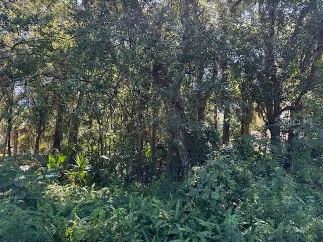 Vacant Land in Orange City - Orange City, Florida, 32763