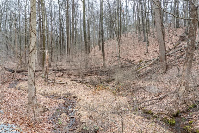 Land -Single Family Acreage in Reading