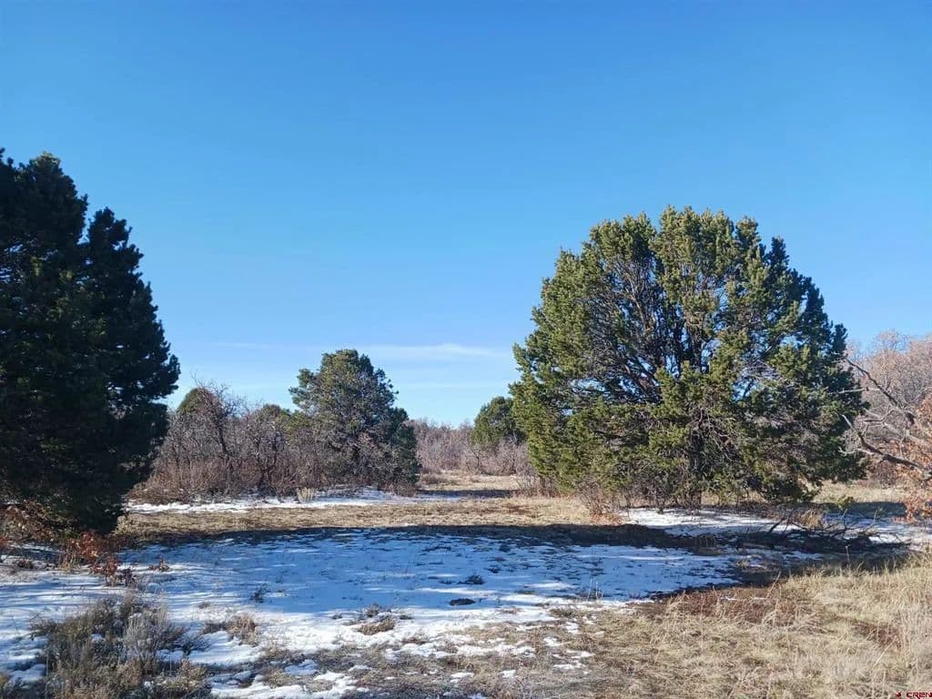 Vacant Land in Norwood - Norwood, Colorado, 81423