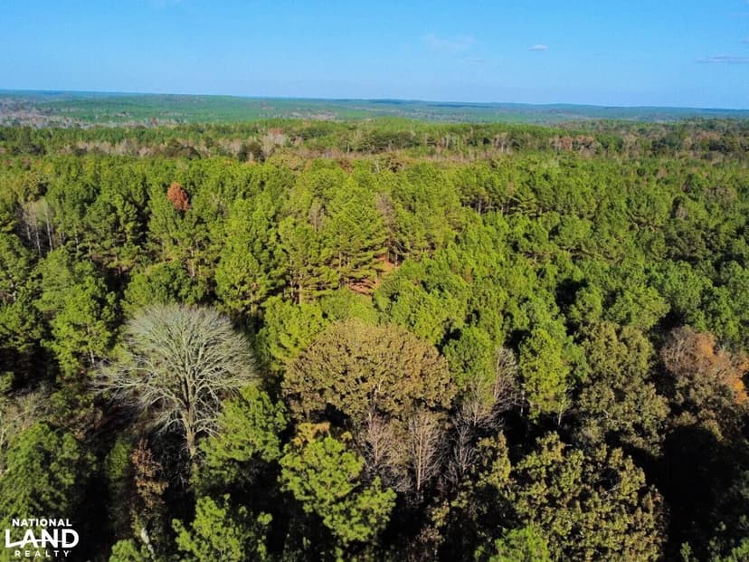 Greensboro Home Sites & Timber