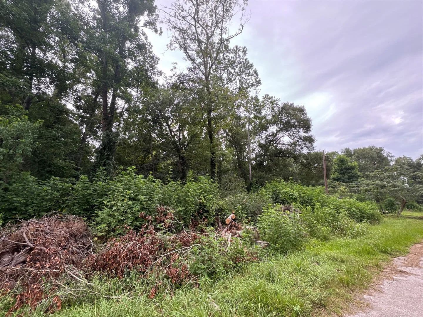 Property from 131 County Road 4282 - KW - Dayton, Texas, 77535