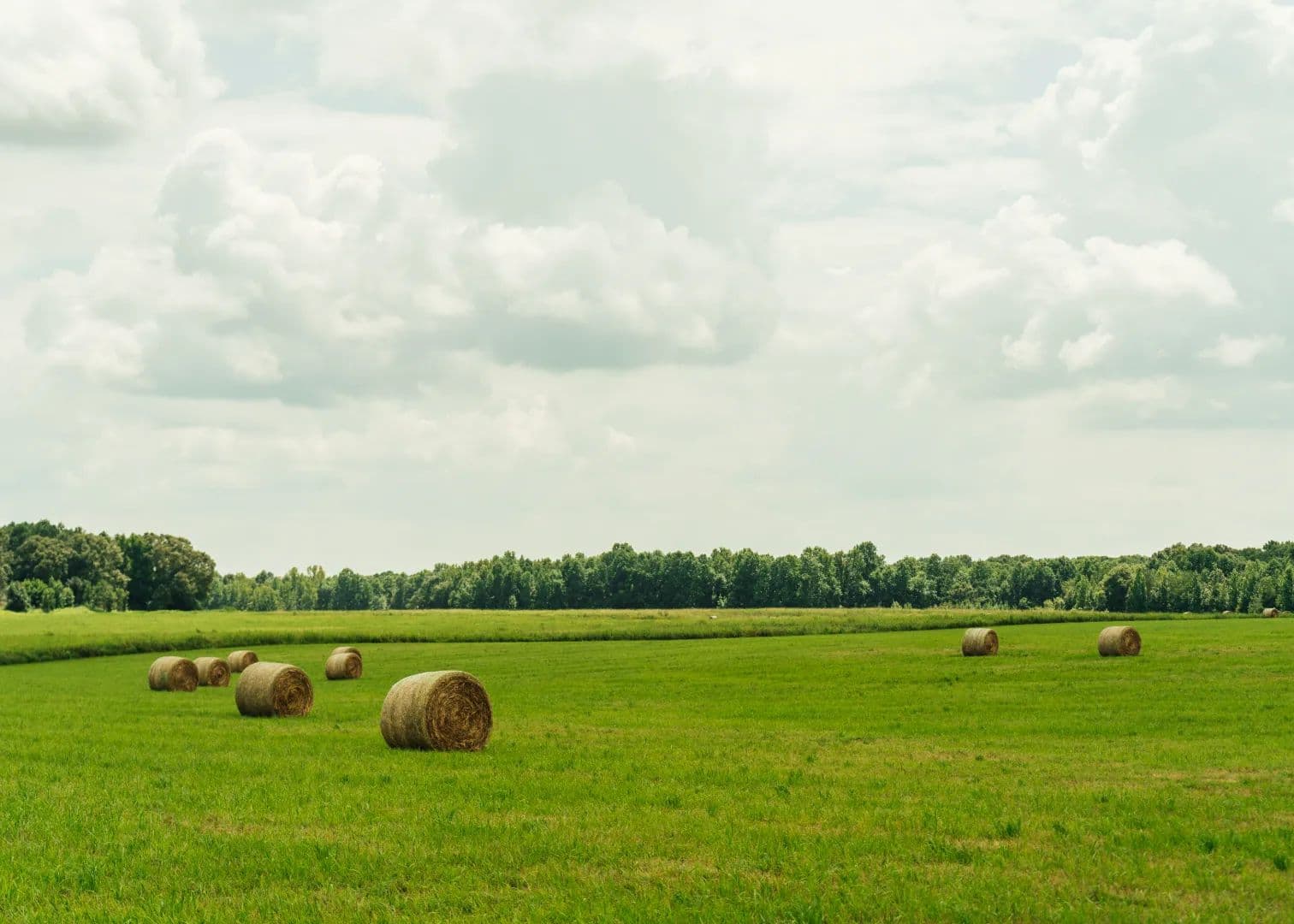 24 Acres in Winston County, MS  - Louisville, Mississippi, 39339