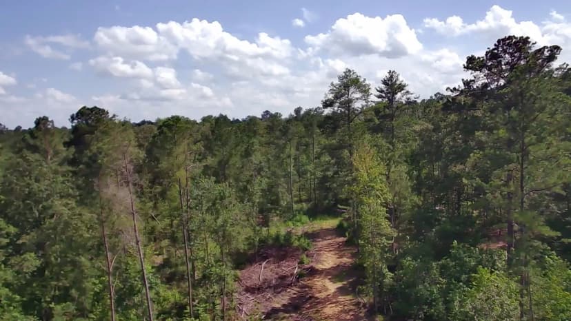 20 +/- Acres of Land in Shelby County